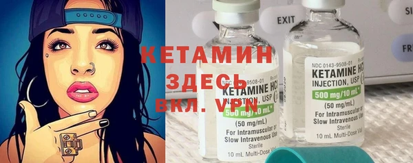 ешки Алексин